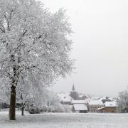 2017 Kirsch sous la neige