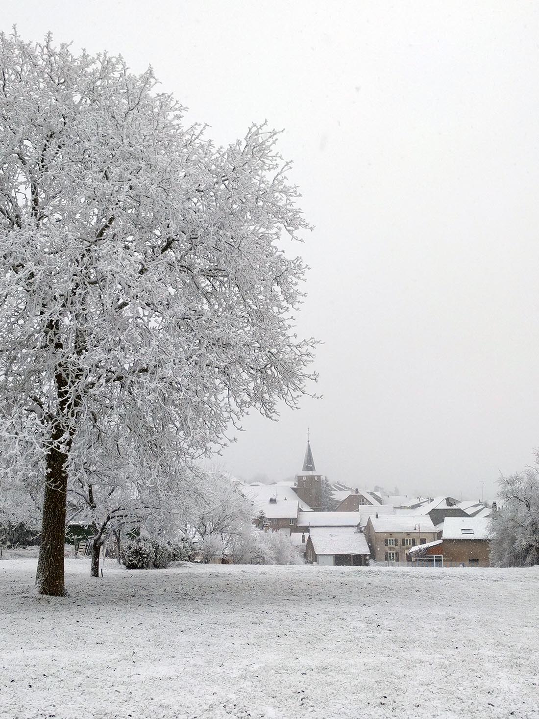 Sous la neige